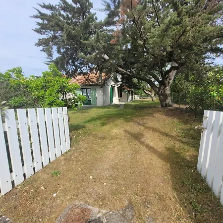 Charmette Petit 公寓 米尼赞海滩